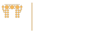 vnrvjiet
